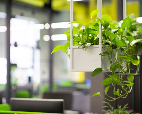 Initiatives for Employee Wellness for Office interior design