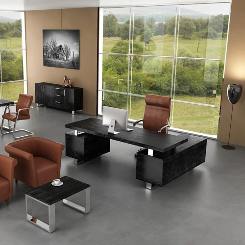 Executive Room Interior Design bd 4